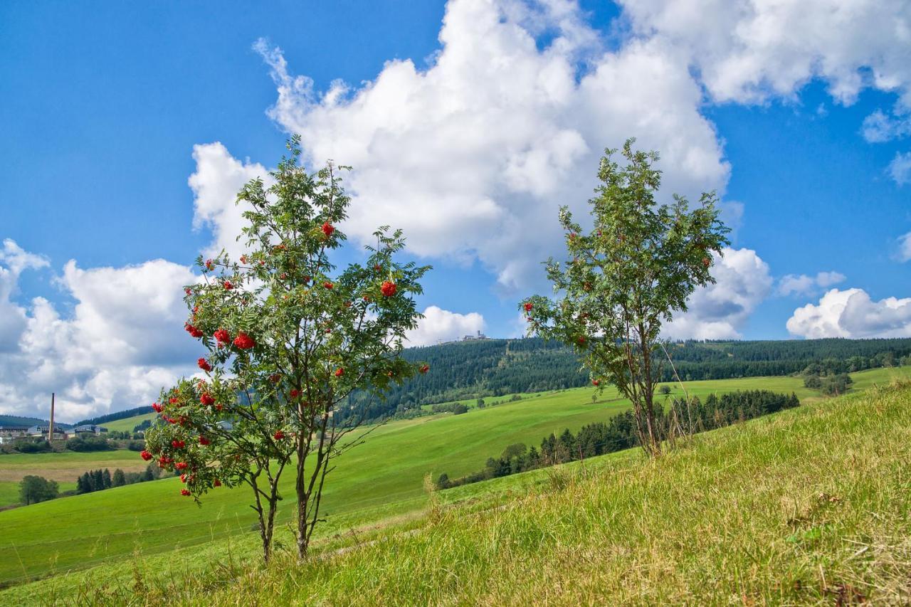 Am Roten Hammer I Gasthof Und Pension Oberwiesenthal Ngoại thất bức ảnh